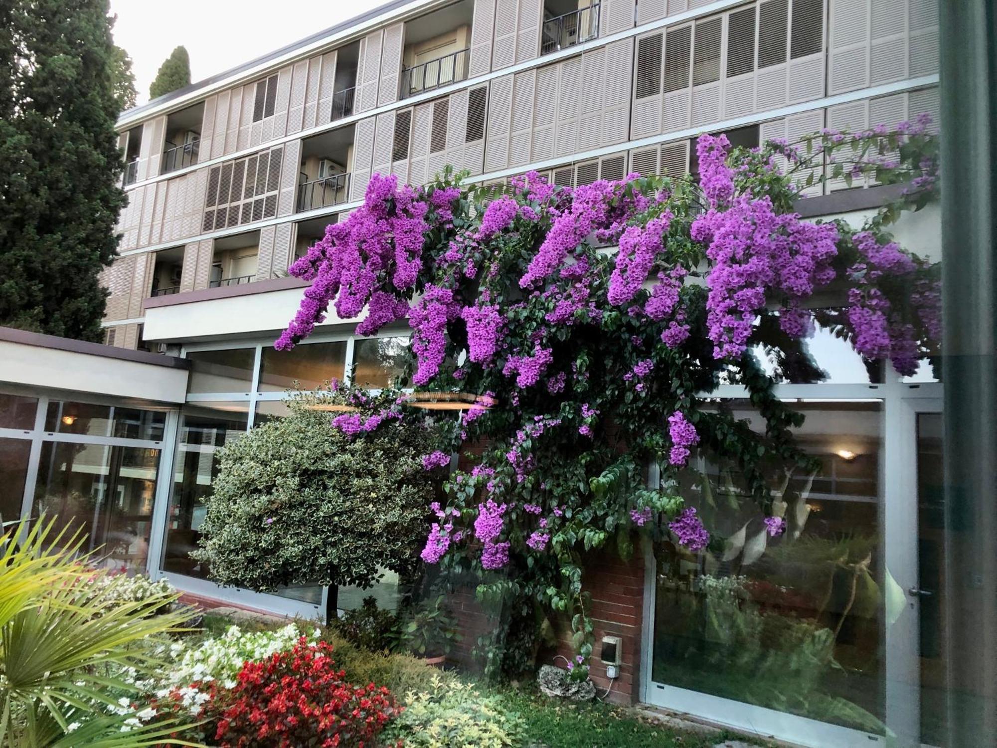 Residence Villa Alba Gardone Riviera Exterior photo